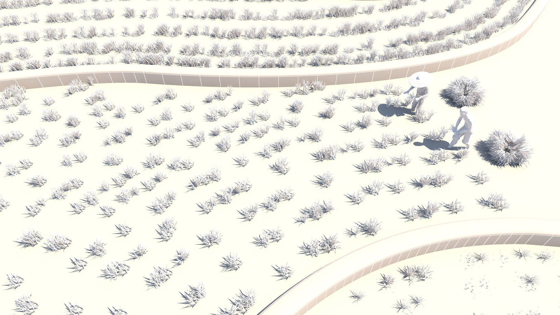 grow rice 3D model_5