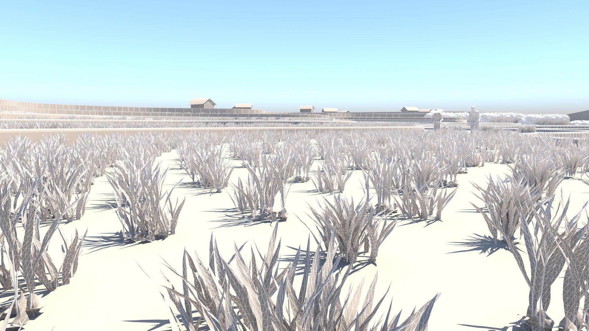 grow rice 3D model_4