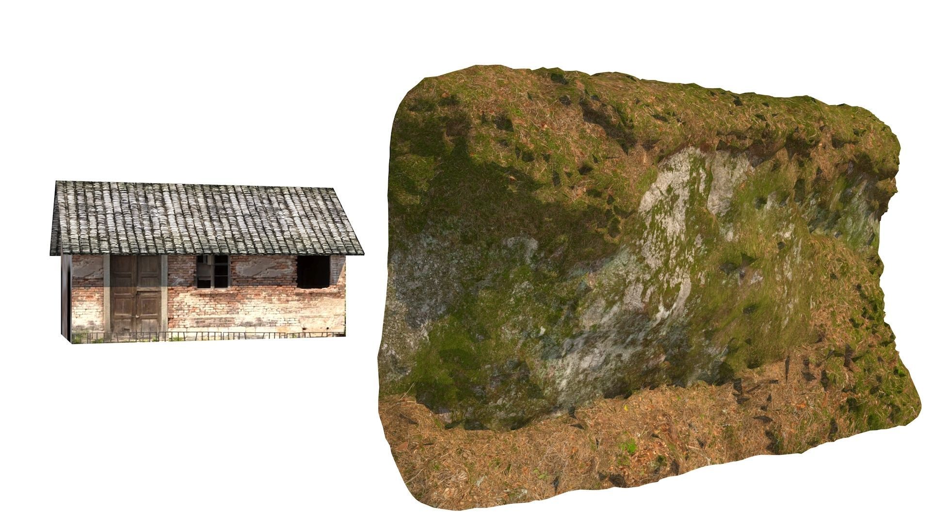 grow rice 3D model_11