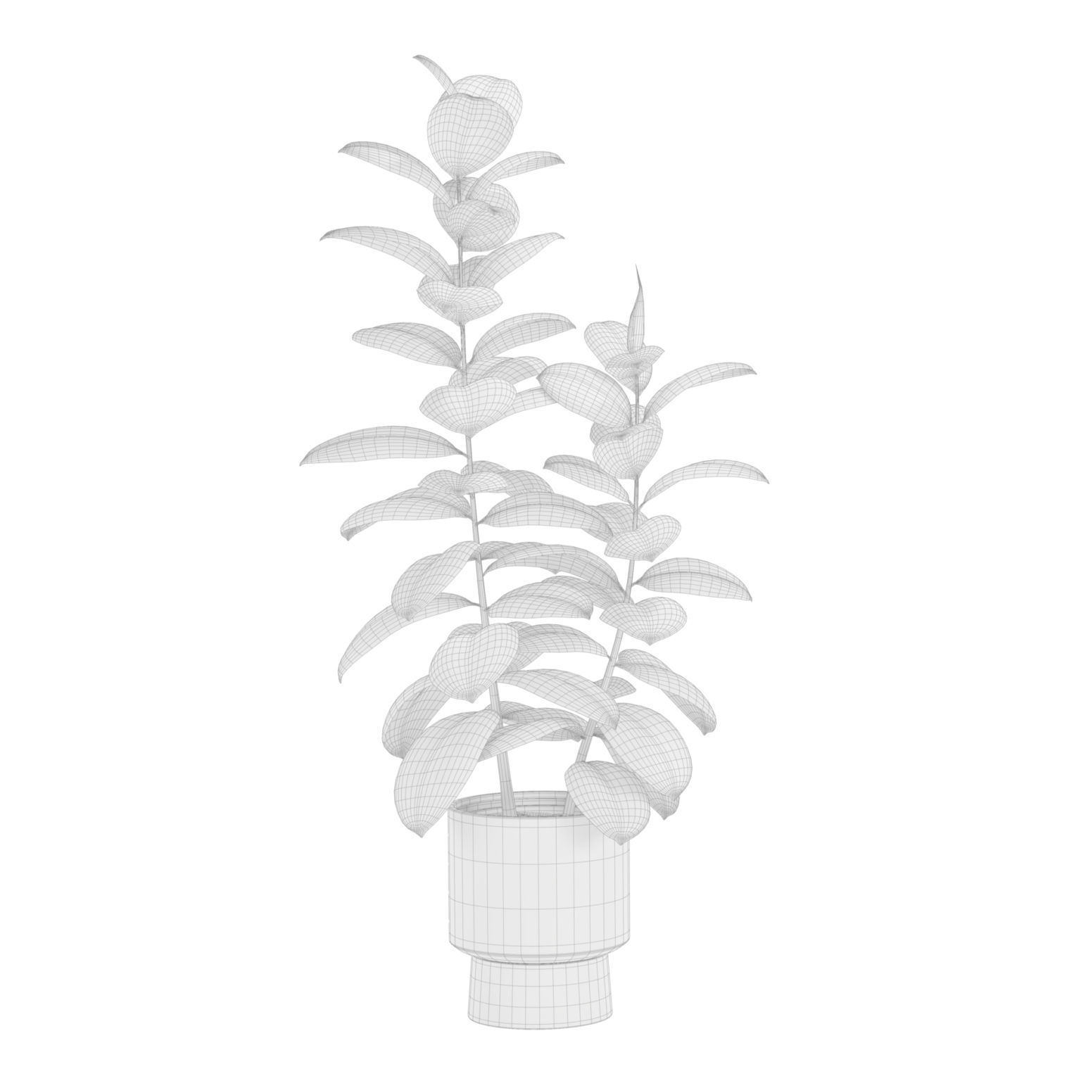 Indoor Plants Pack 41 3D model_10