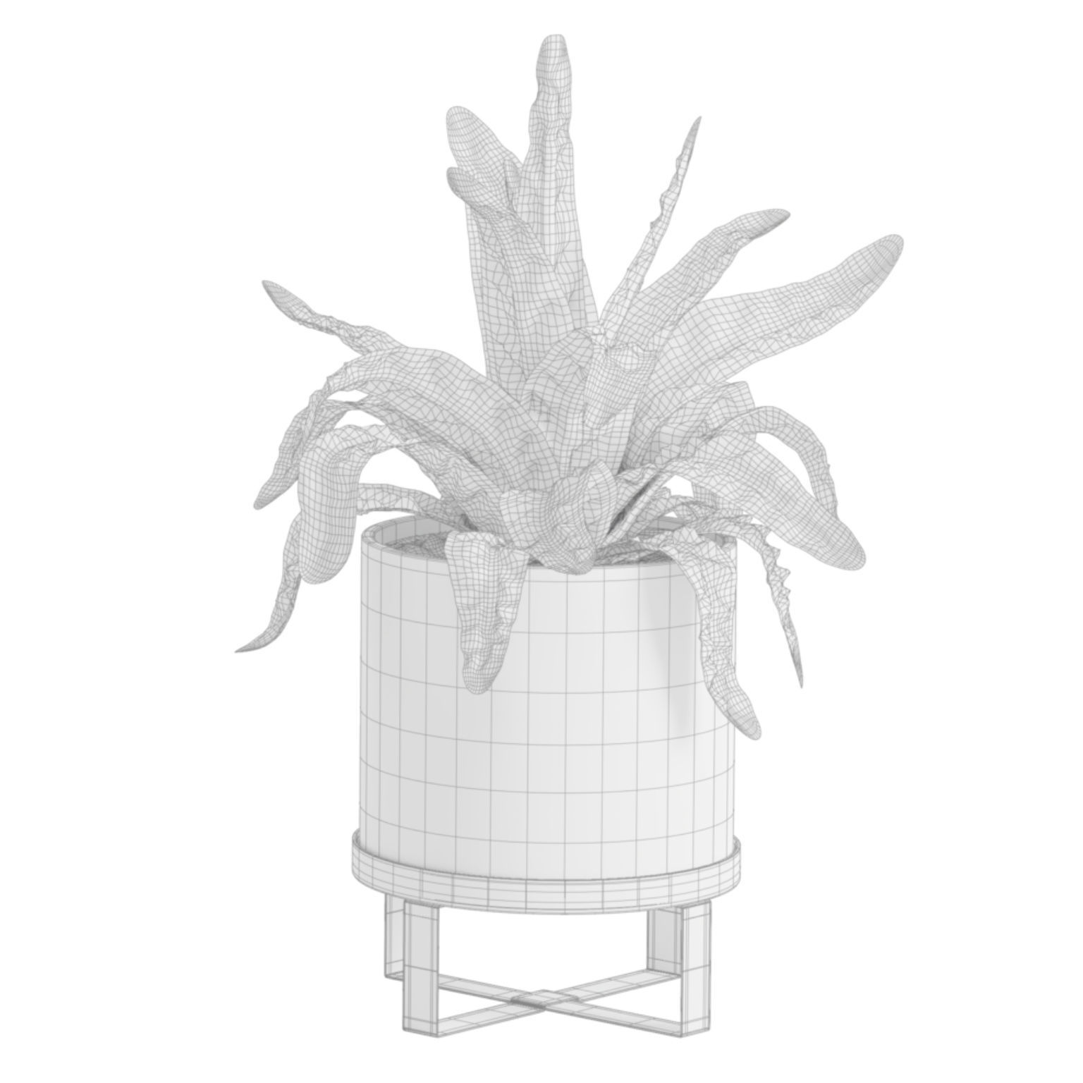 Indoor Plants Pack 41 3D model_6