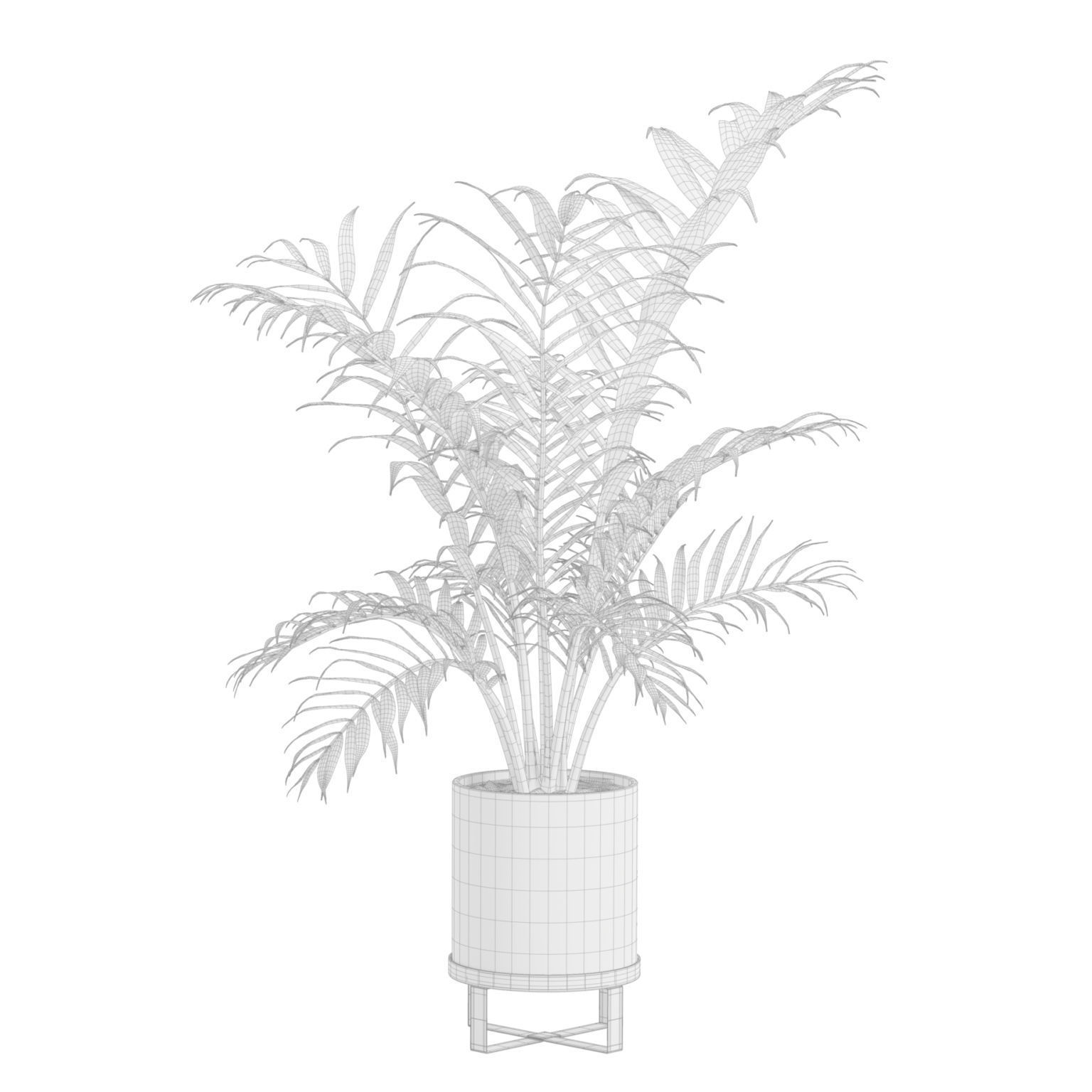 Indoor Plants Pack 41 3D model_8