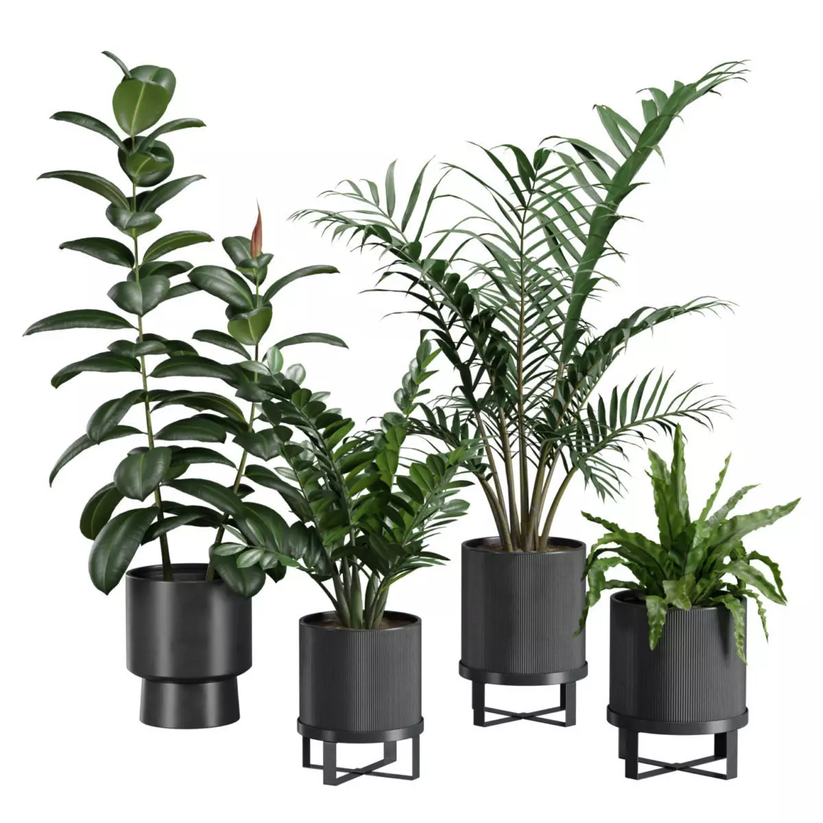 Indoor Plants Pack 41 3D model_0
