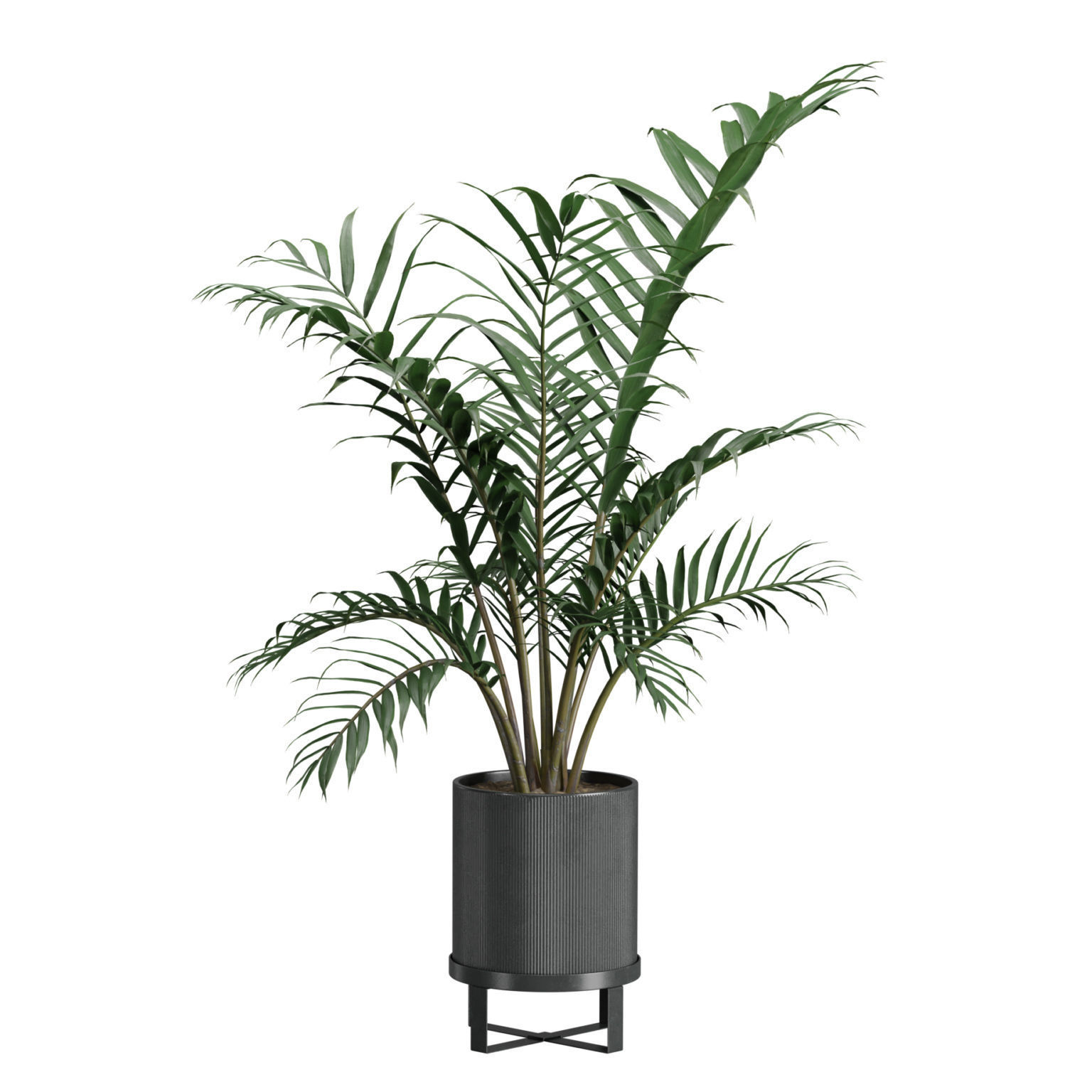 Indoor Plants Pack 41 3D model_7