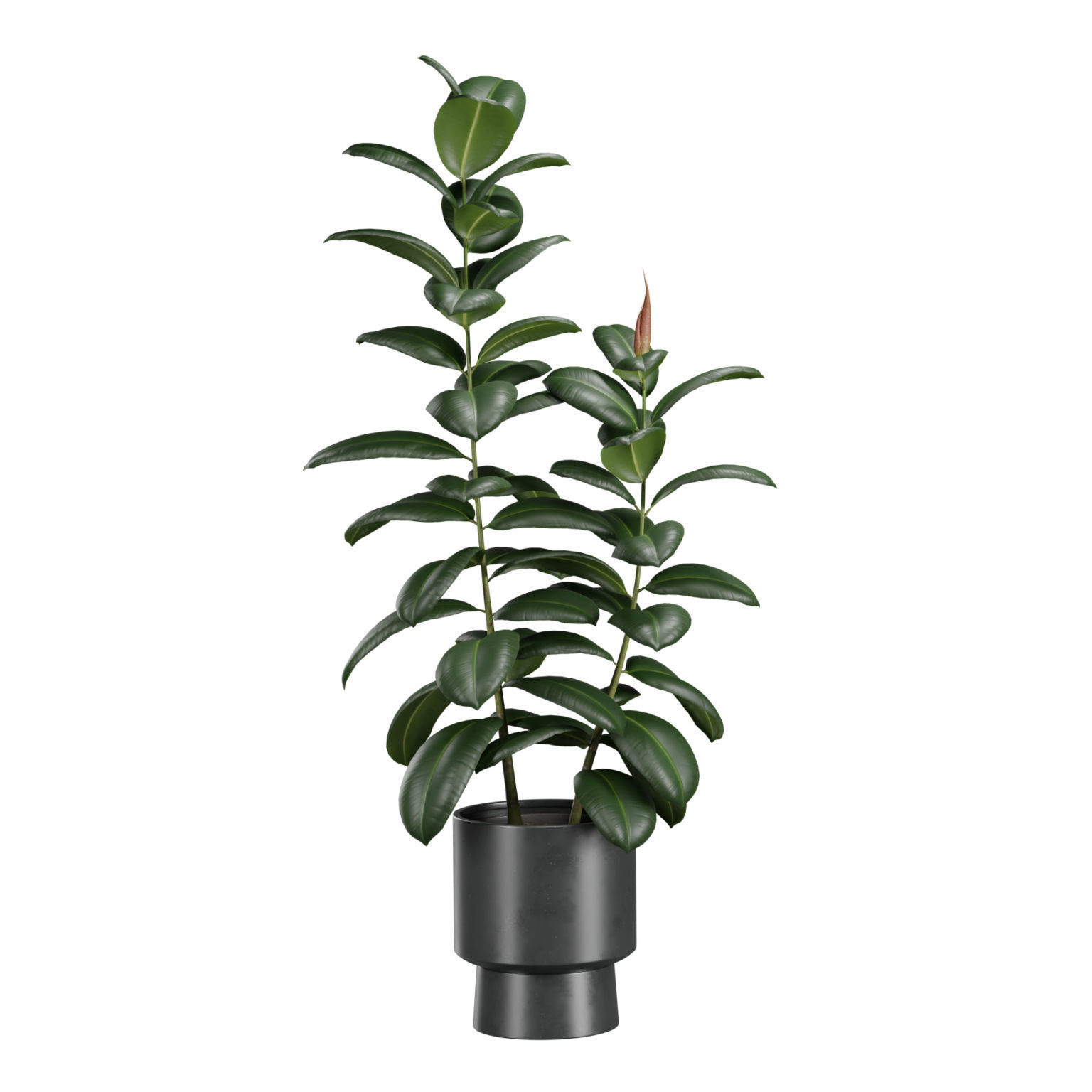 Indoor Plants Pack 41 3D model_9