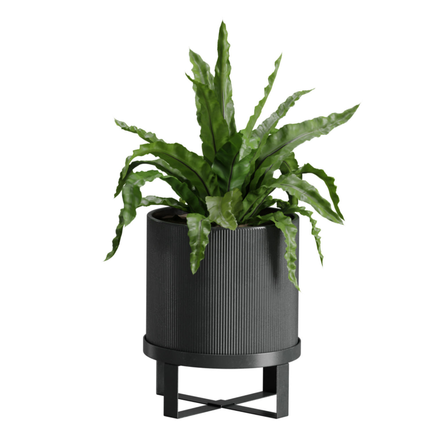 Indoor Plants Pack 41 3D model_5