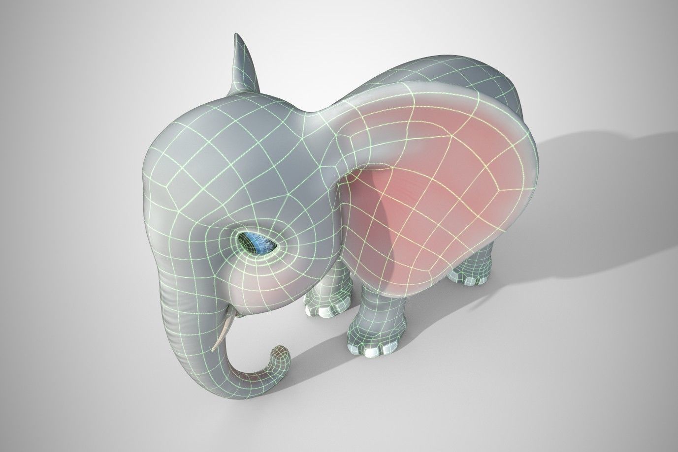 Elephant 3d model with big ears 3D model_3