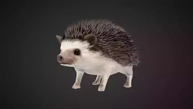 Hegdehog 3D Character Low-poly 3D model