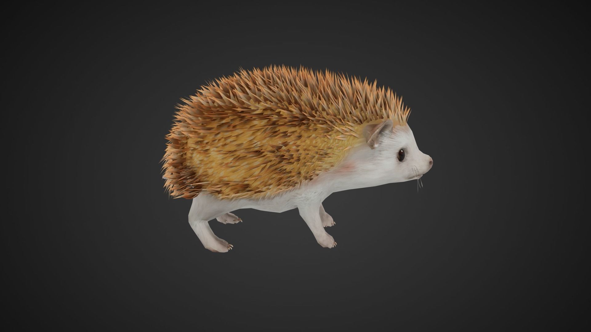 Hegdehog Stylized Yellow 3D Character Low-poly 3D model_4