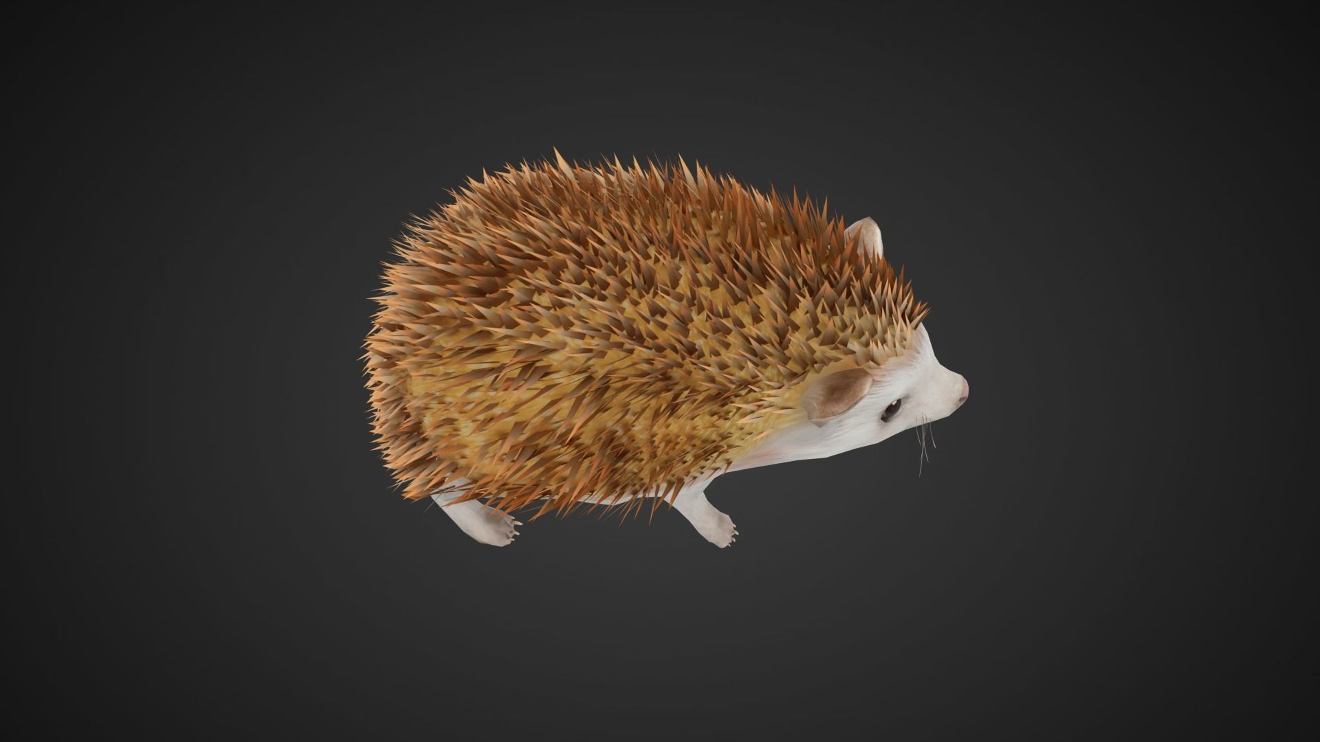 Hegdehog Stylized Yellow 3D Character Low-poly 3D model_3