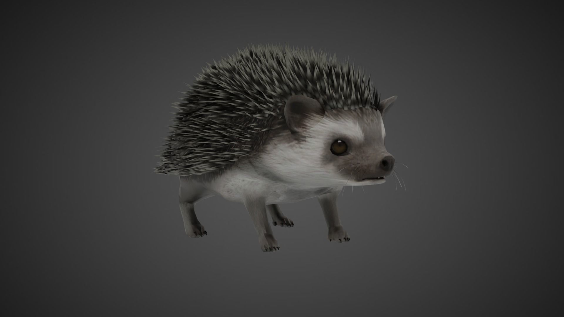 Hedgehog Stylized Brown 3D Character Low-poly 3D model_2