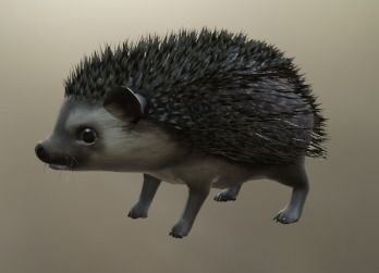 Hedgehog Stylized Brown 3D Character Low-poly 3D model_25