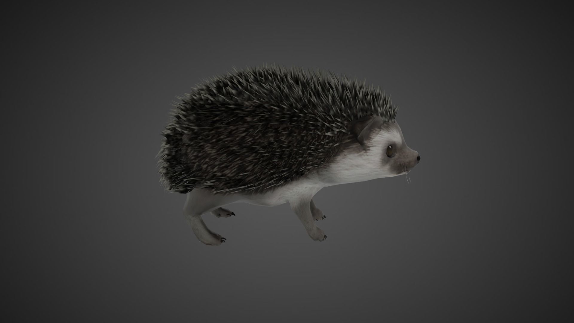 Hedgehog Stylized Brown 3D Character Low-poly 3D model_4