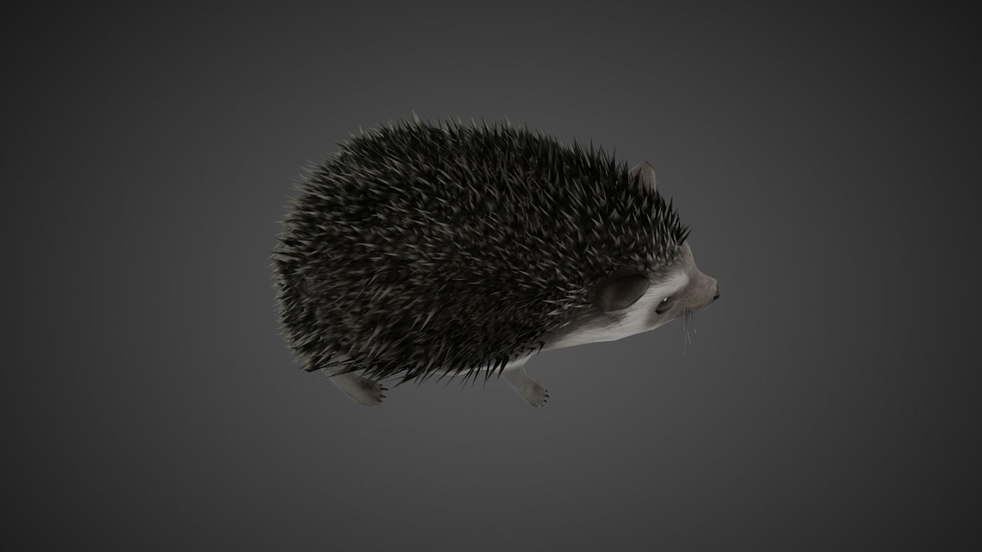 Hedgehog Stylized Brown 3D Character Low-poly 3D model_8