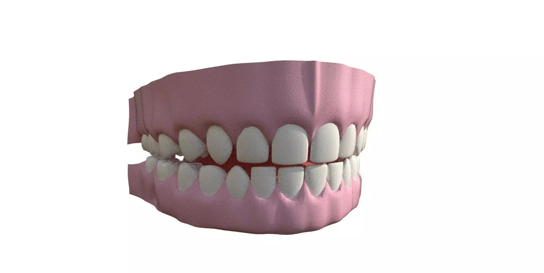 3D Teeth human mouth with 3D model