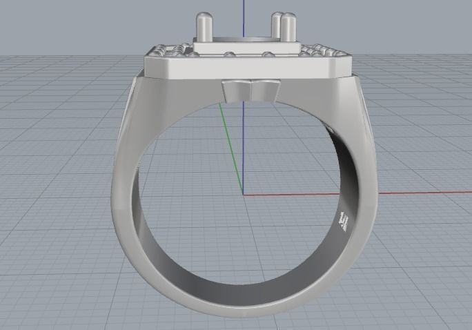 Ring Model 3001 3D print model_4