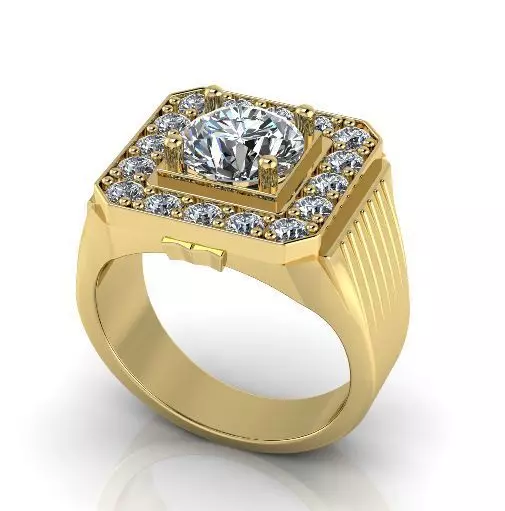 Ring Model 3001 3D print model_0