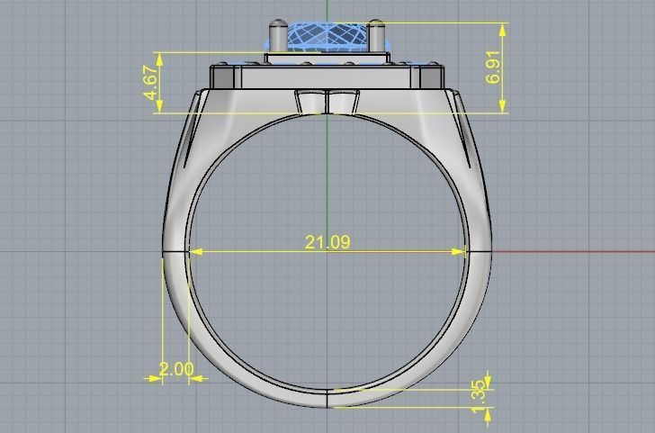 Ring Model 3001 3D print model_6