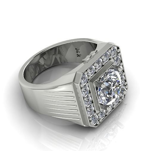 Ring Model 3001 3D print model_1