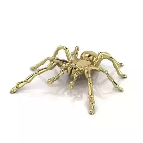 Spider Model 2993