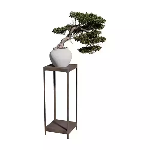 Bonsai Standing Rack