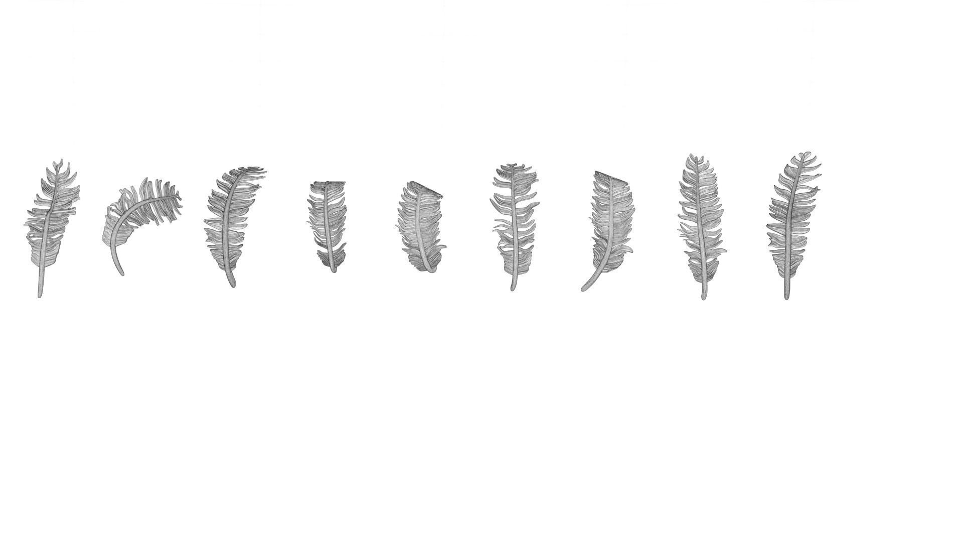 69 Feather Set 3D print model_16
