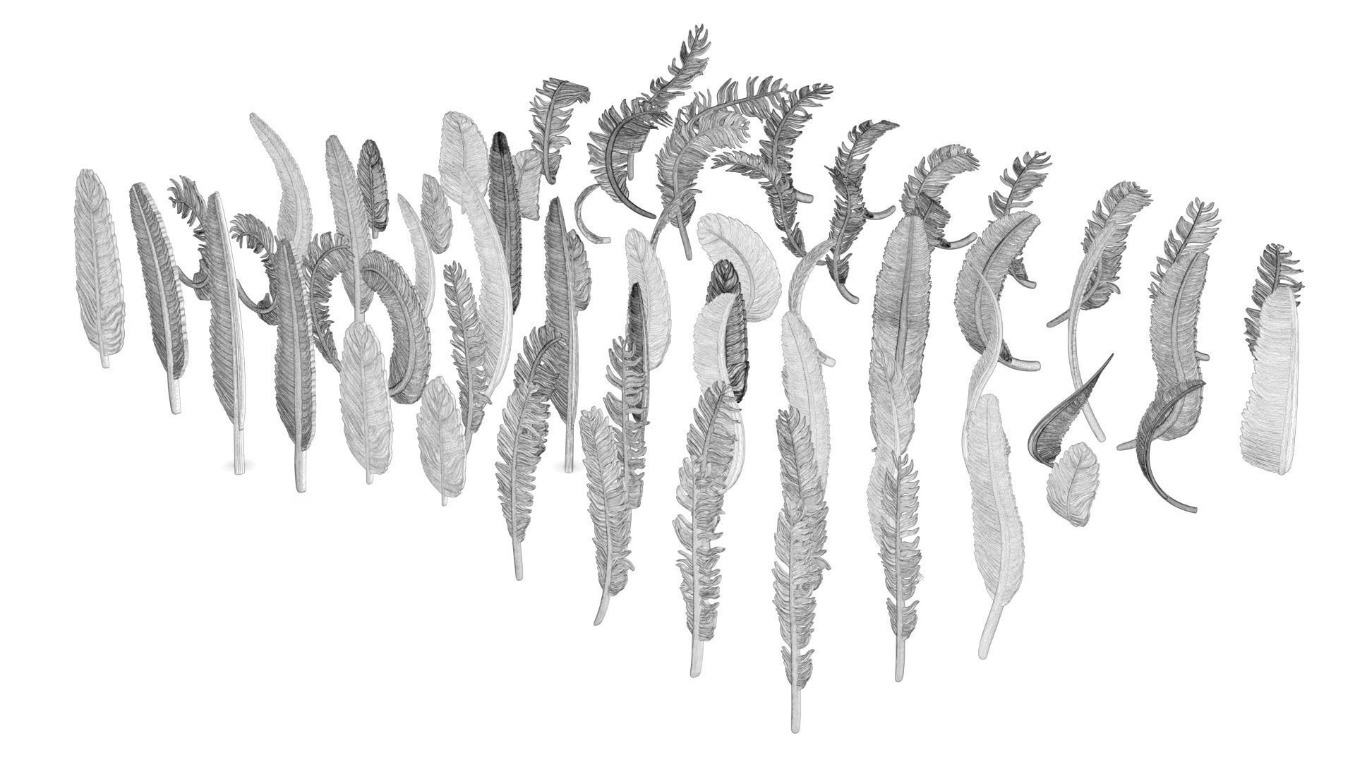 69 Feather Set 3D print model_17