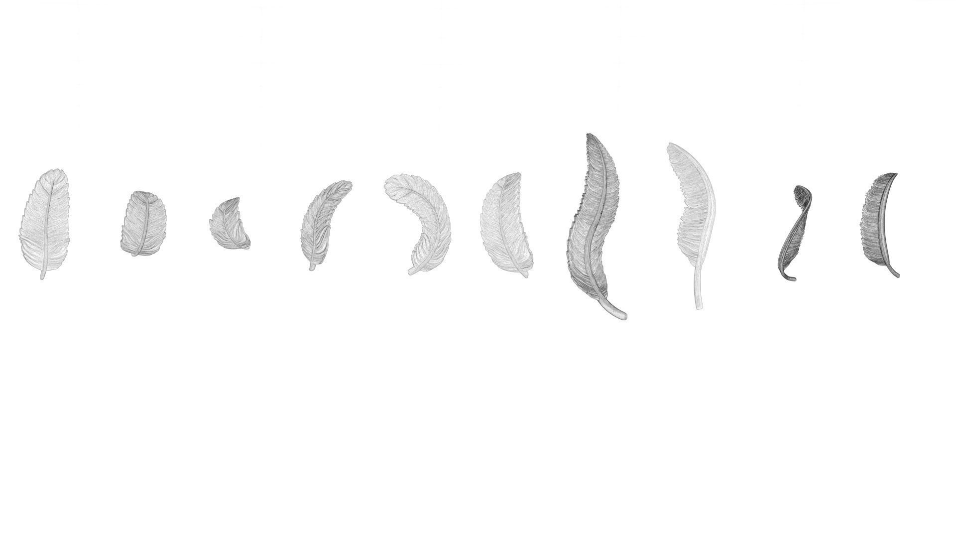 69 Feather Set 3D print model_14