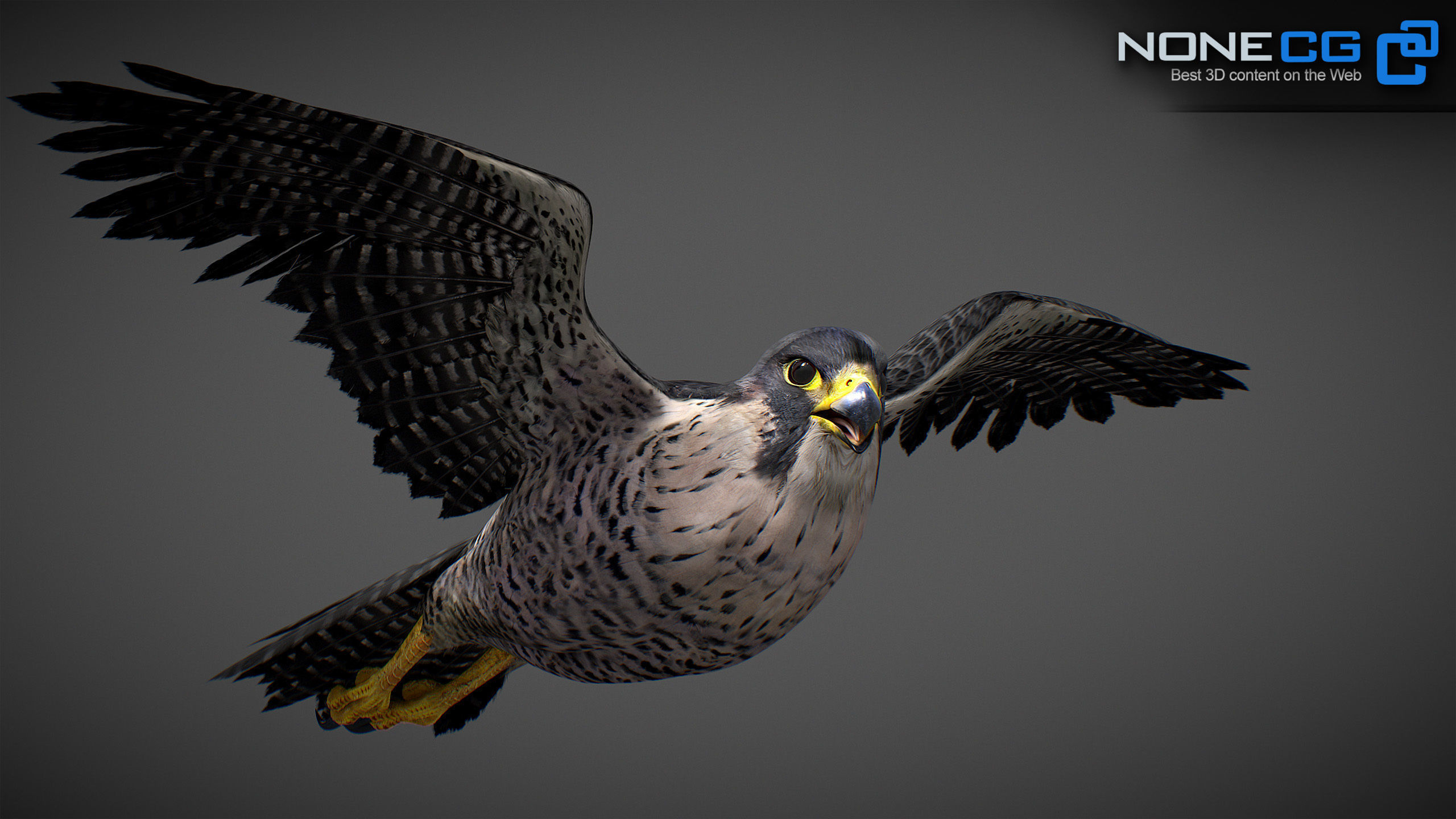 Animated Falcon 3D model_14