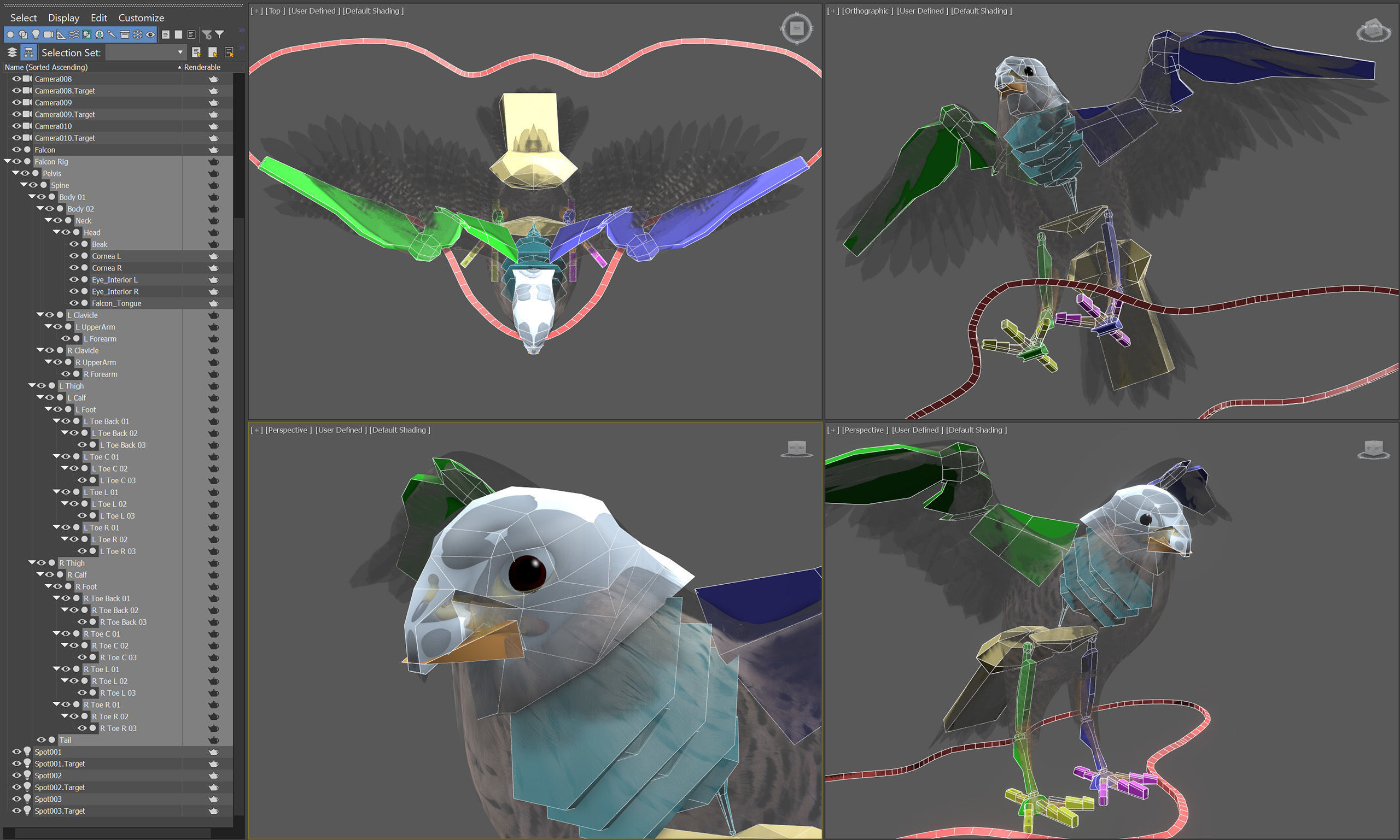 Animated Falcon 3D model_7