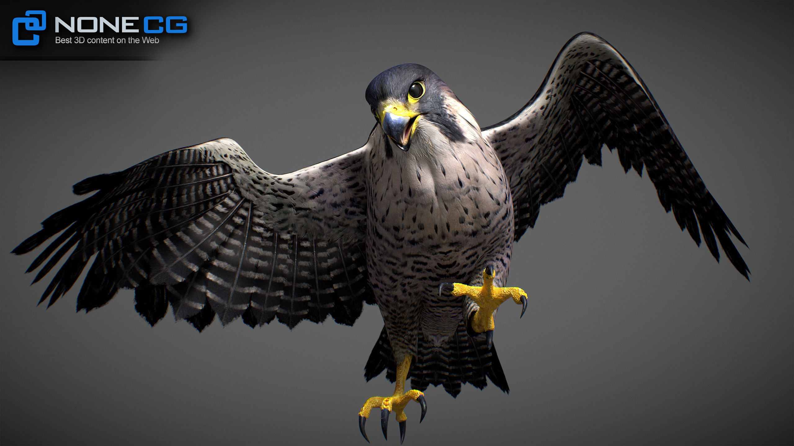 Animated Falcon 3D model_23