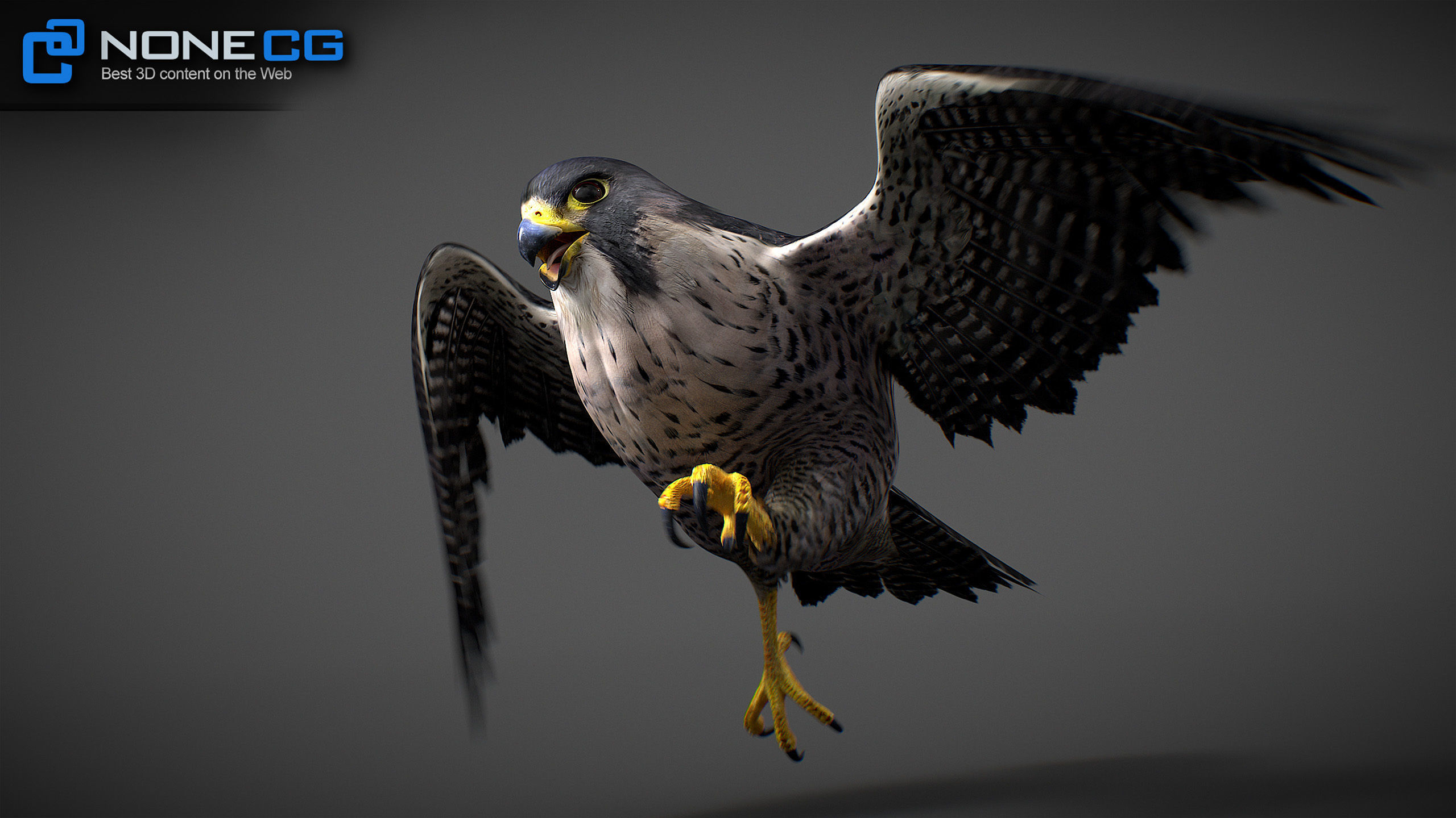 Animated Falcon 3D model_21