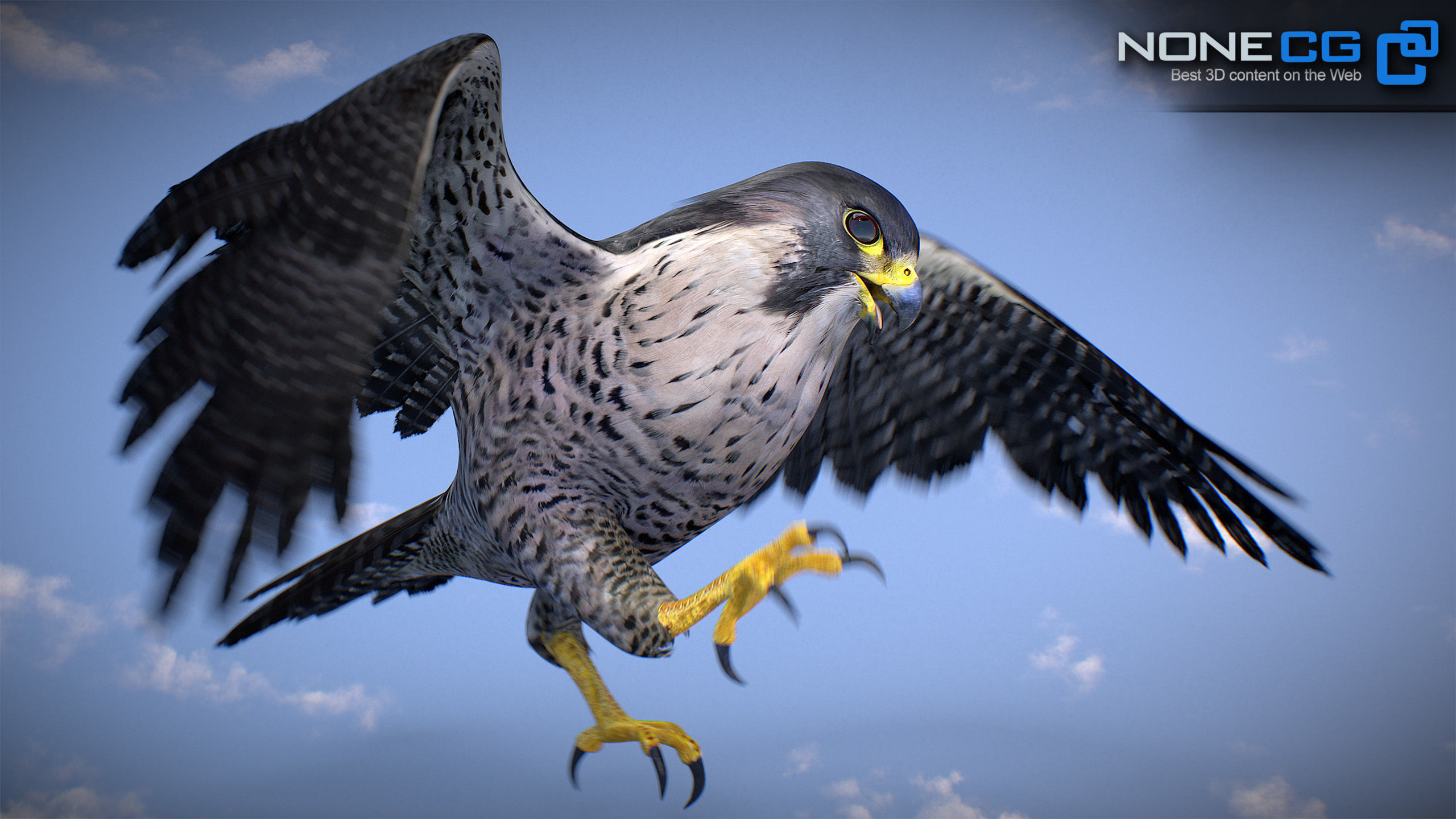 Animated Falcon 3D model_24