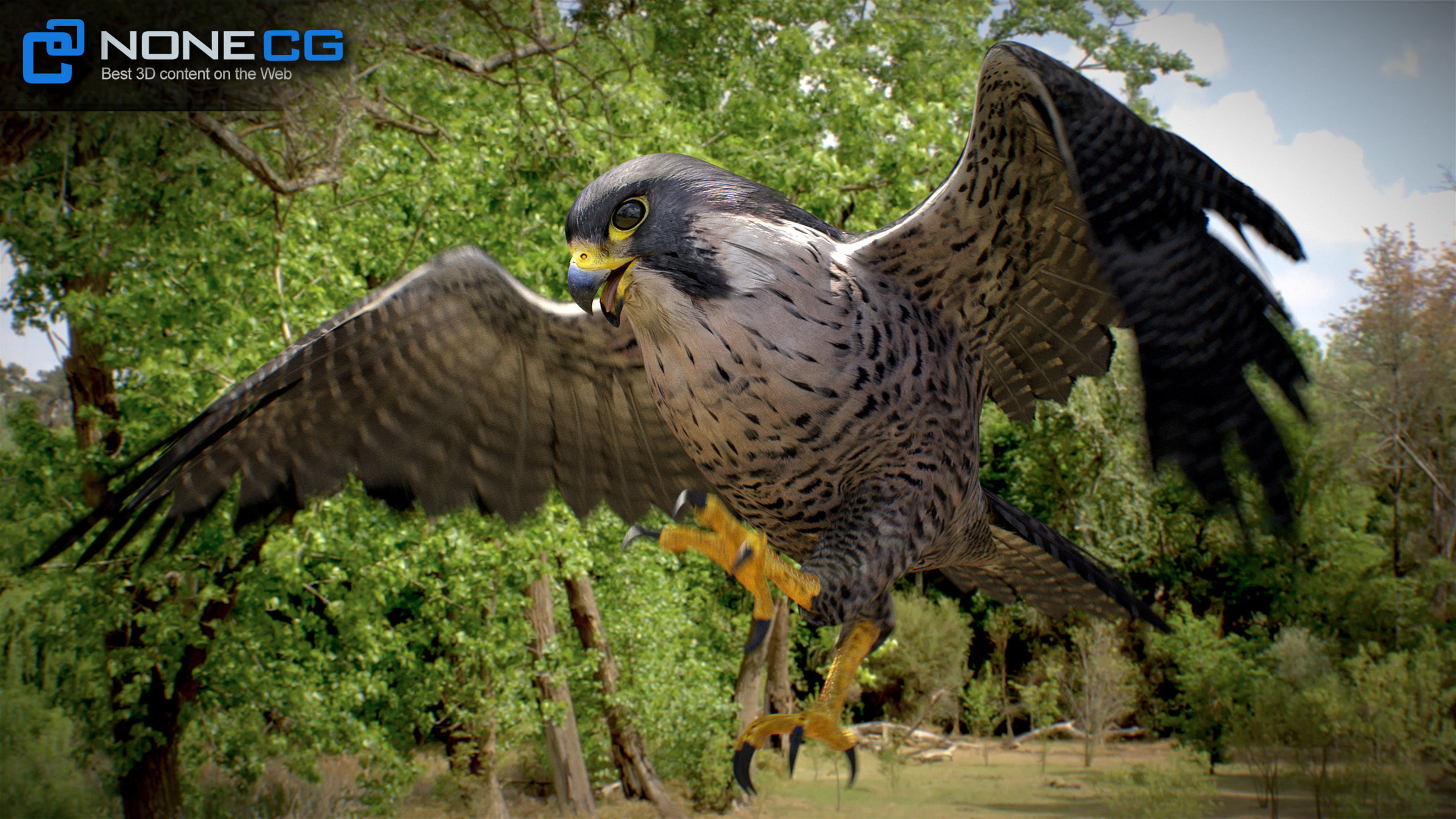 Animated Falcon 3D model_5