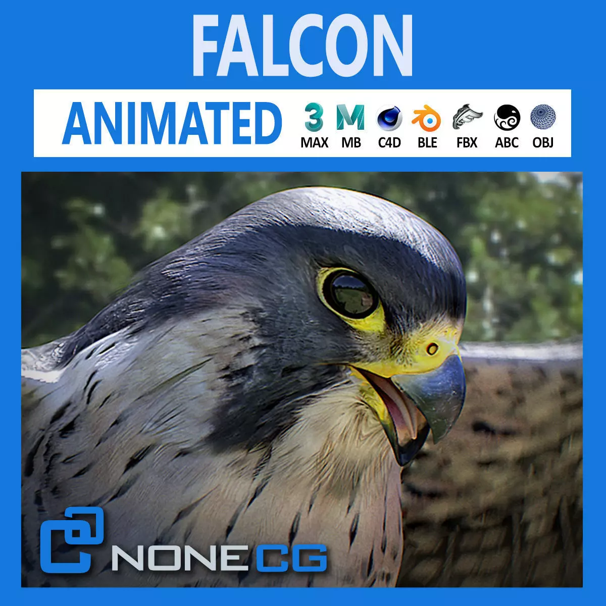 Animated Falcon 3D model_0