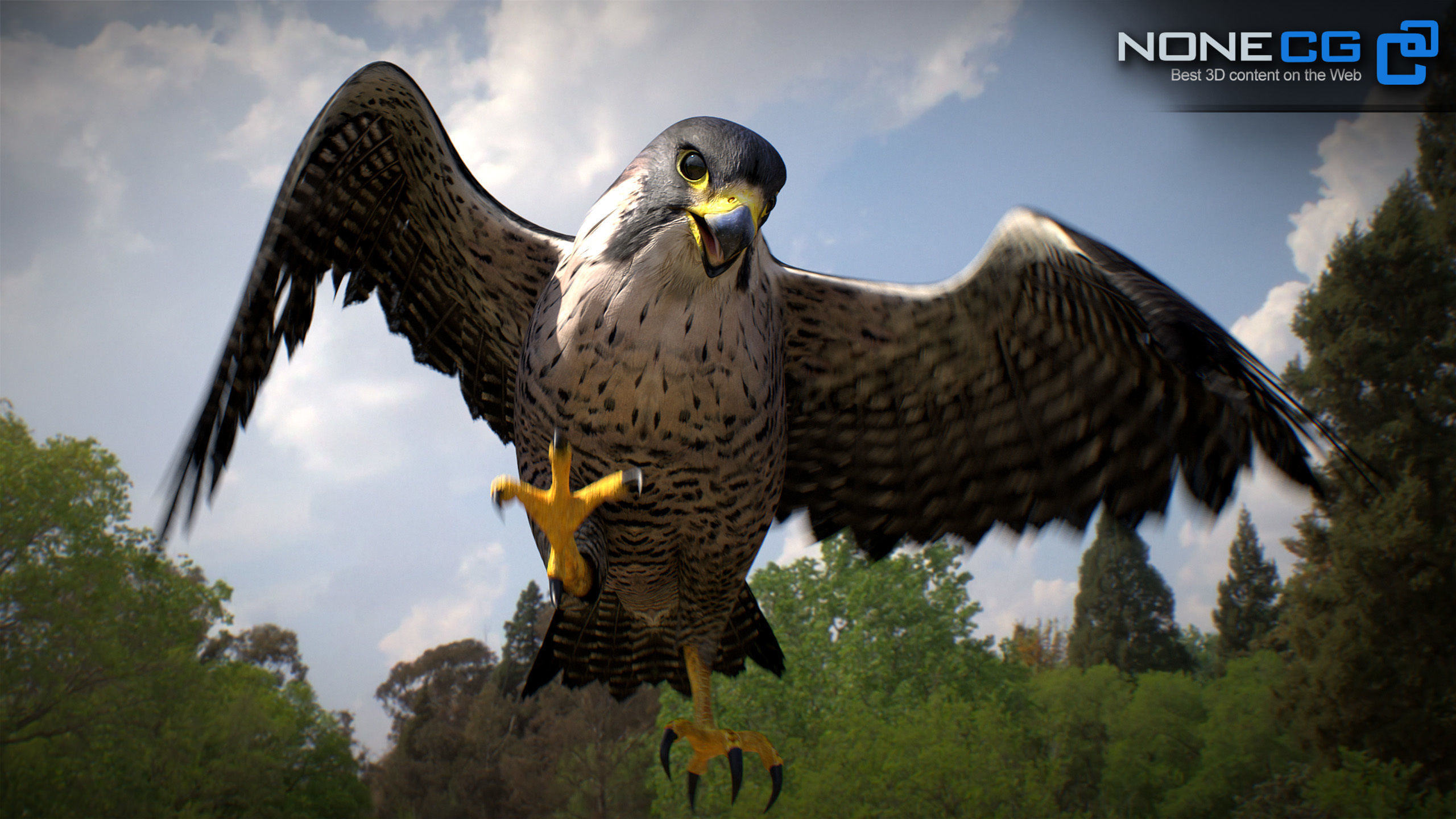 Animated Falcon 3D model_33