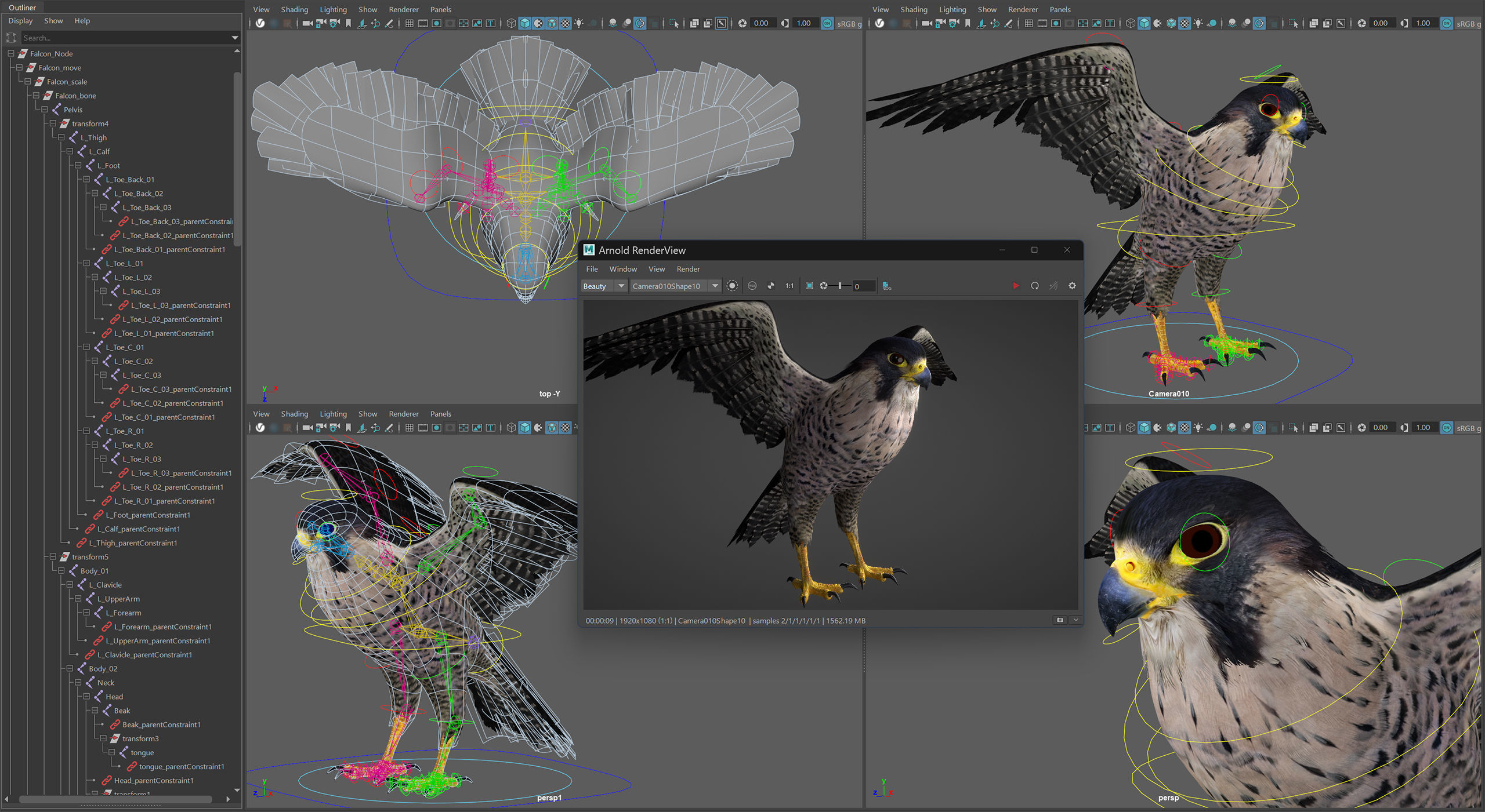 Animated Falcon 3D model_8
