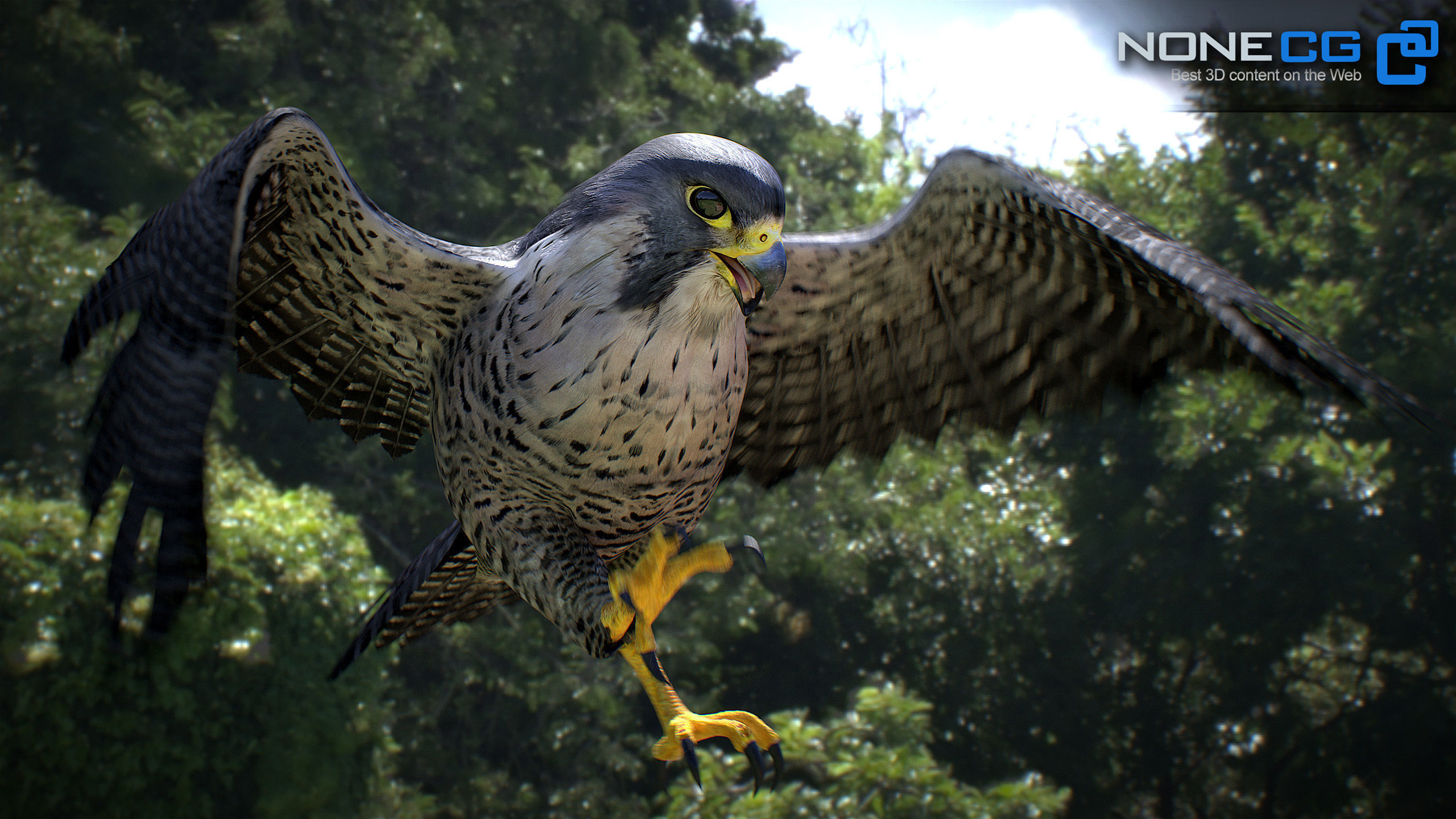 Animated Falcon 3D model_2