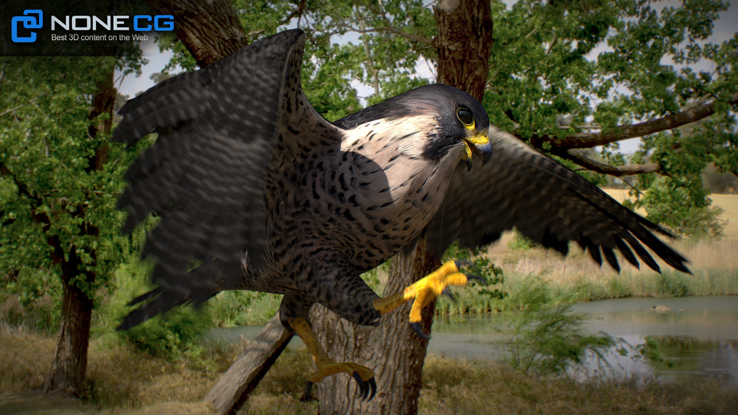 Animated Falcon 3D model_30