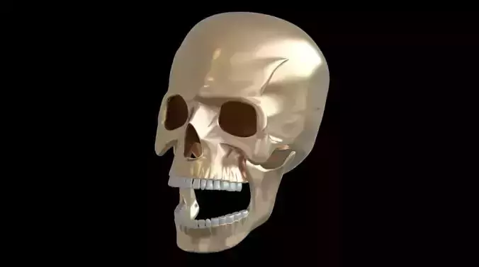skull 3d model 3D print model human