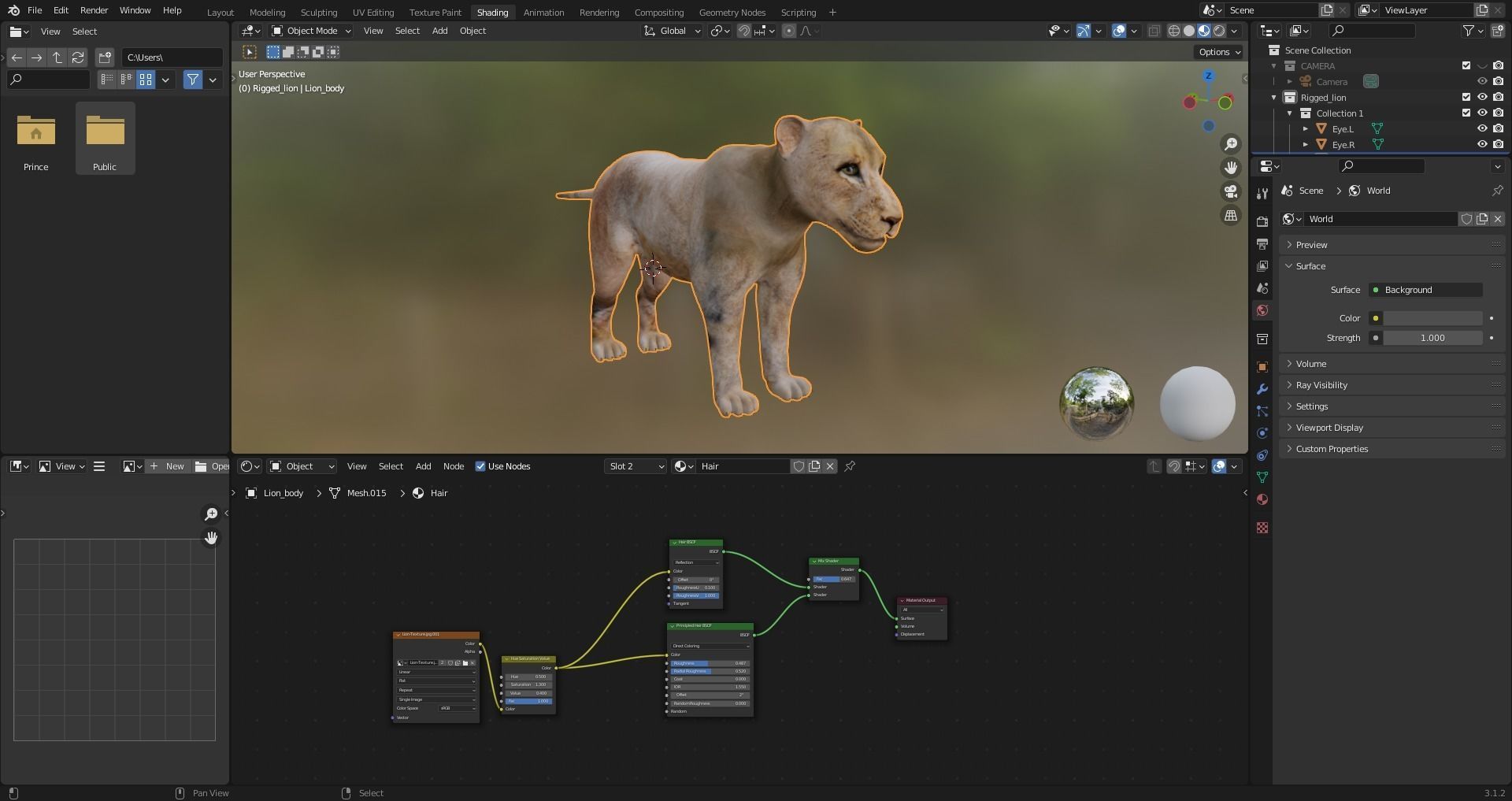 Fur Lion NO Rigged in Blender Low-poly 3D model_12
