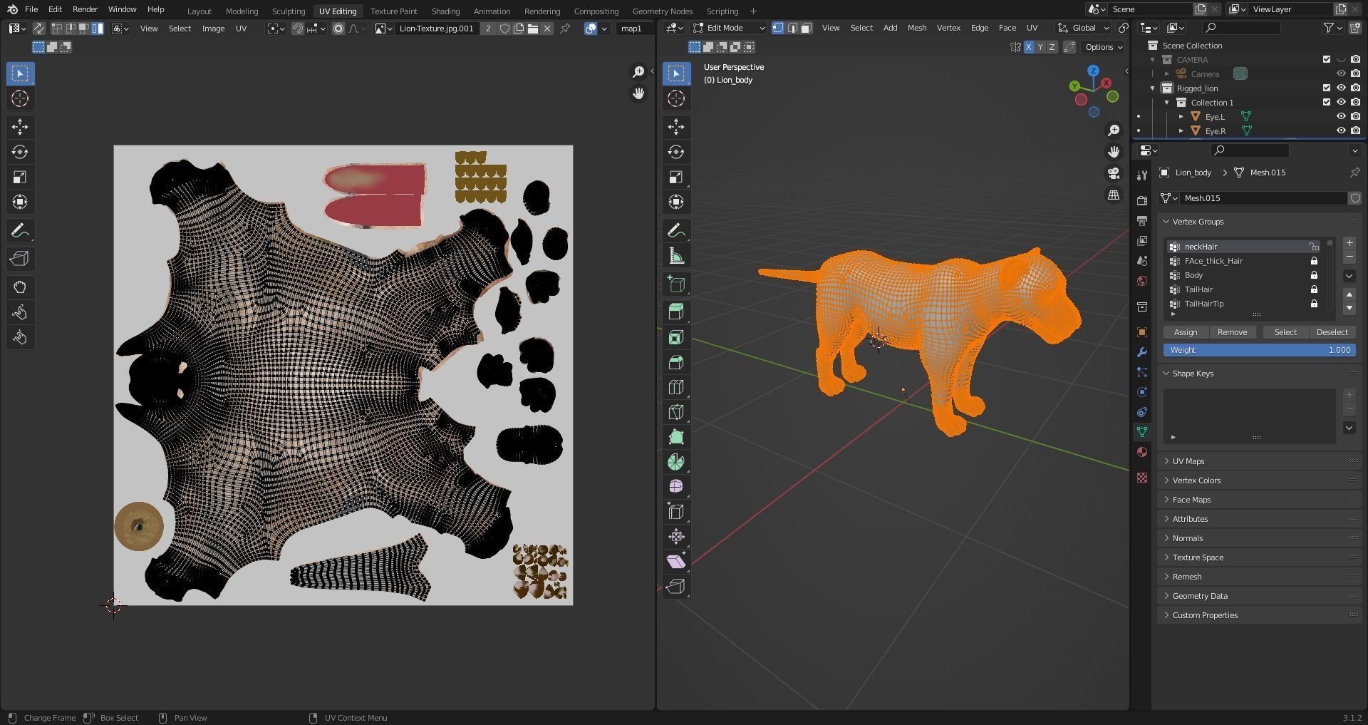 Fur Lion NO Rigged in Blender Low-poly 3D model_10