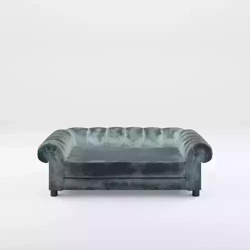 3D Model of Dog Cat Sofa Low-poly 3D model