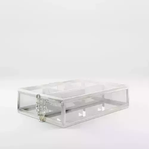 3D Model of a rectangular jewelry box in clear glass