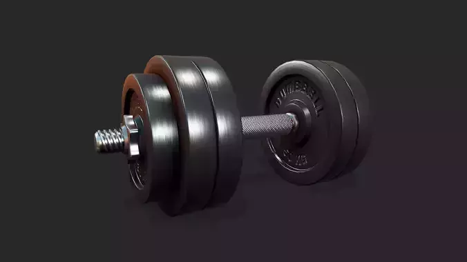 Dumbbell Weights - Tutorial Included 