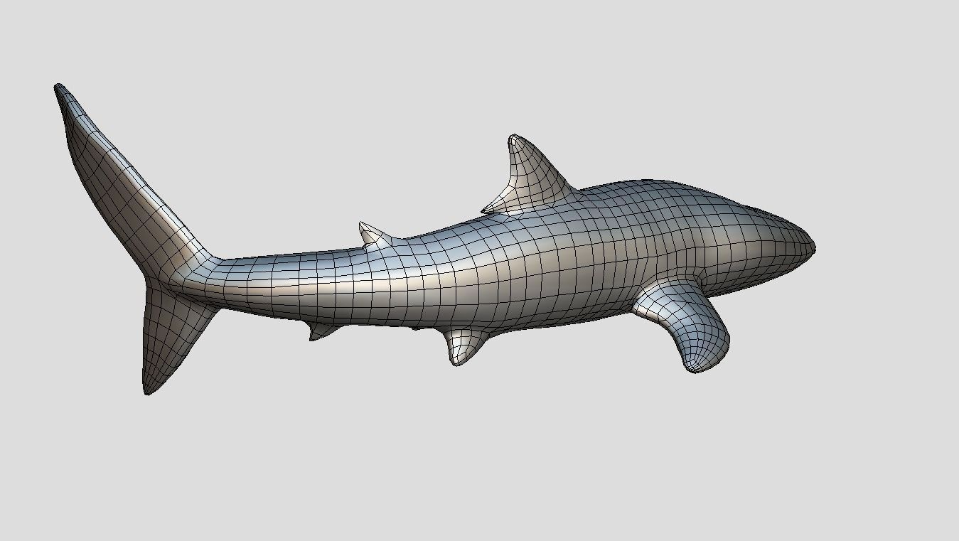 Whale Shark Animated Low-poly Low-poly 3D model_13