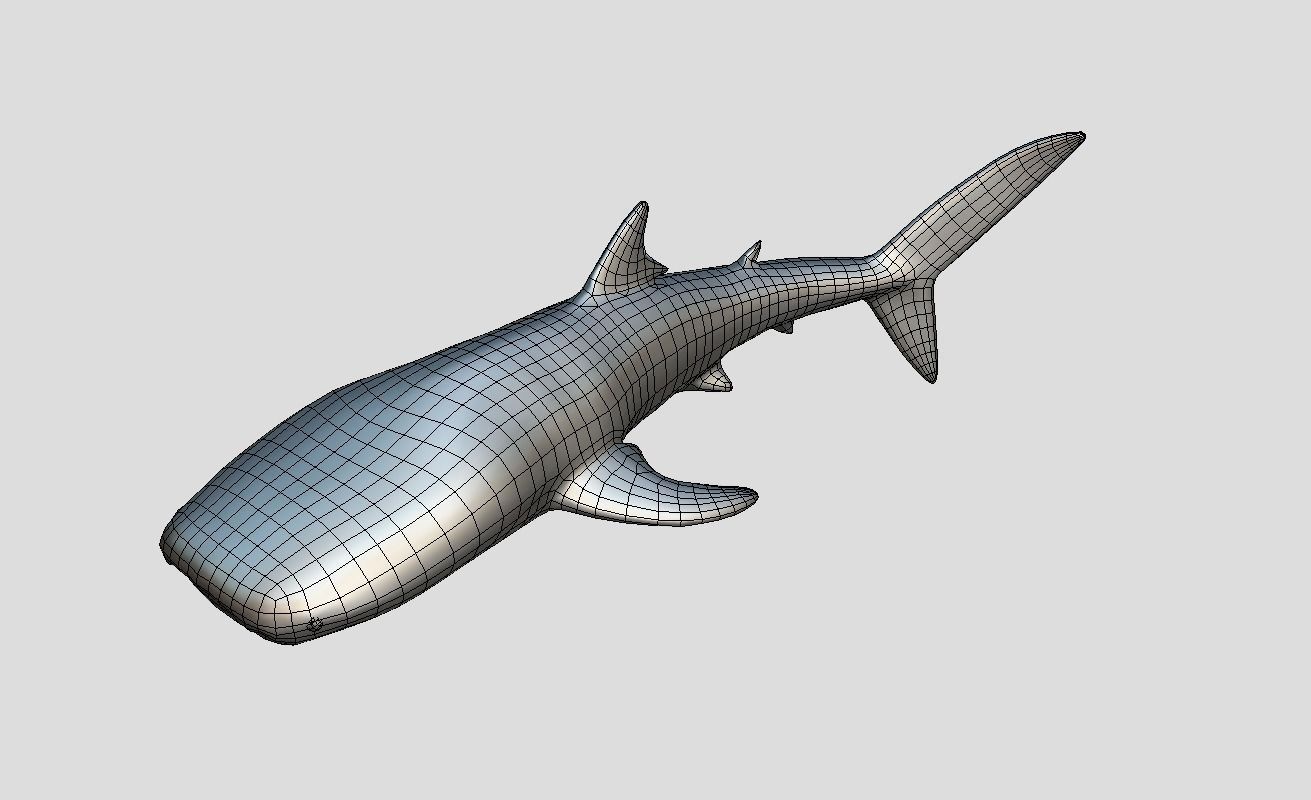 Whale Shark Animated Low-poly Low-poly 3D model_14