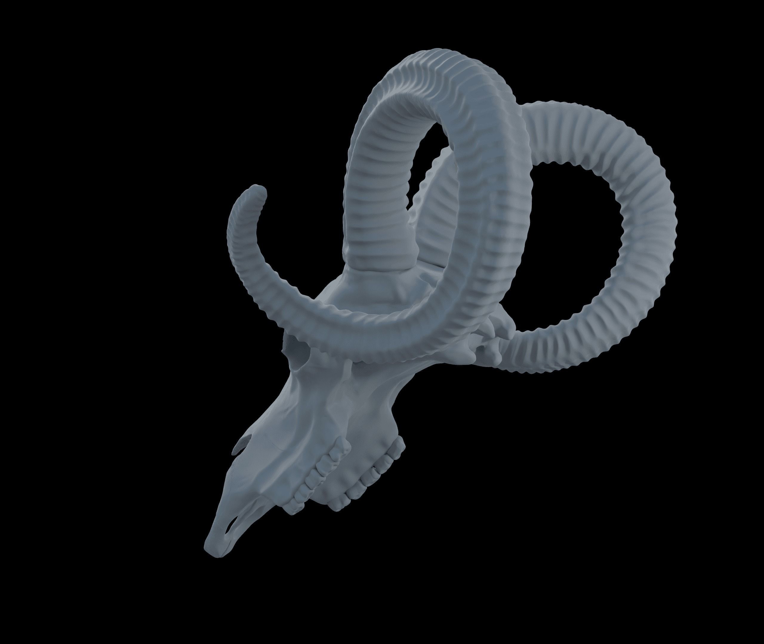 Ram Skull HighPoly Free 3D model_9