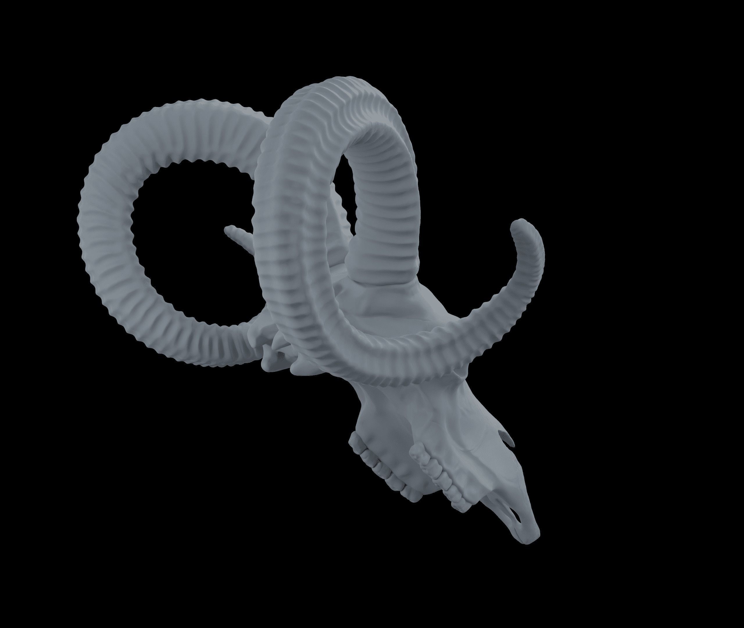 Ram Skull HighPoly Free 3D model_11
