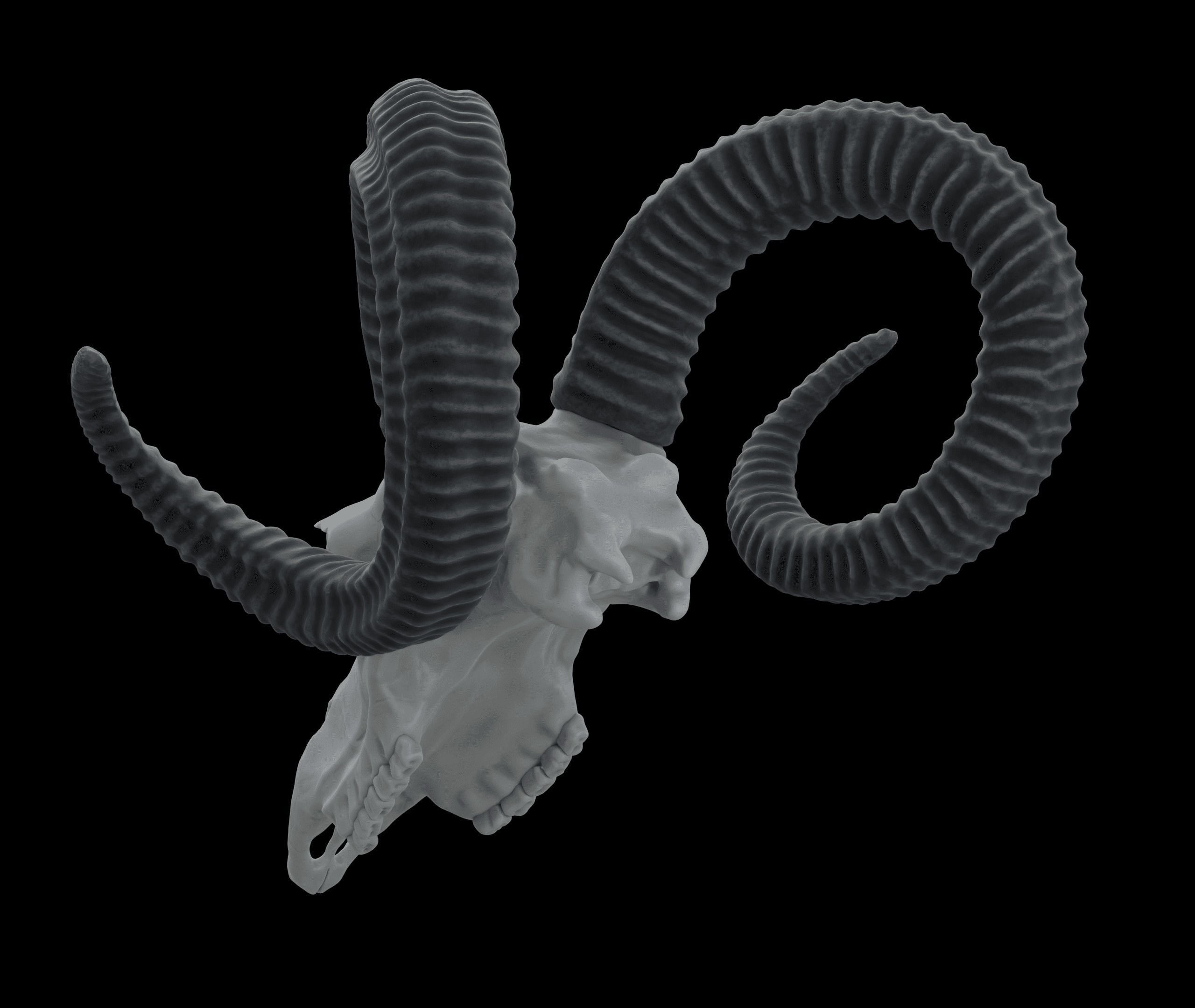 Ram Skull HighPoly Free 3D model_2